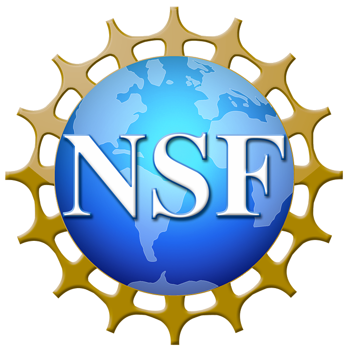 National Science Foundation funds Learning Games for education